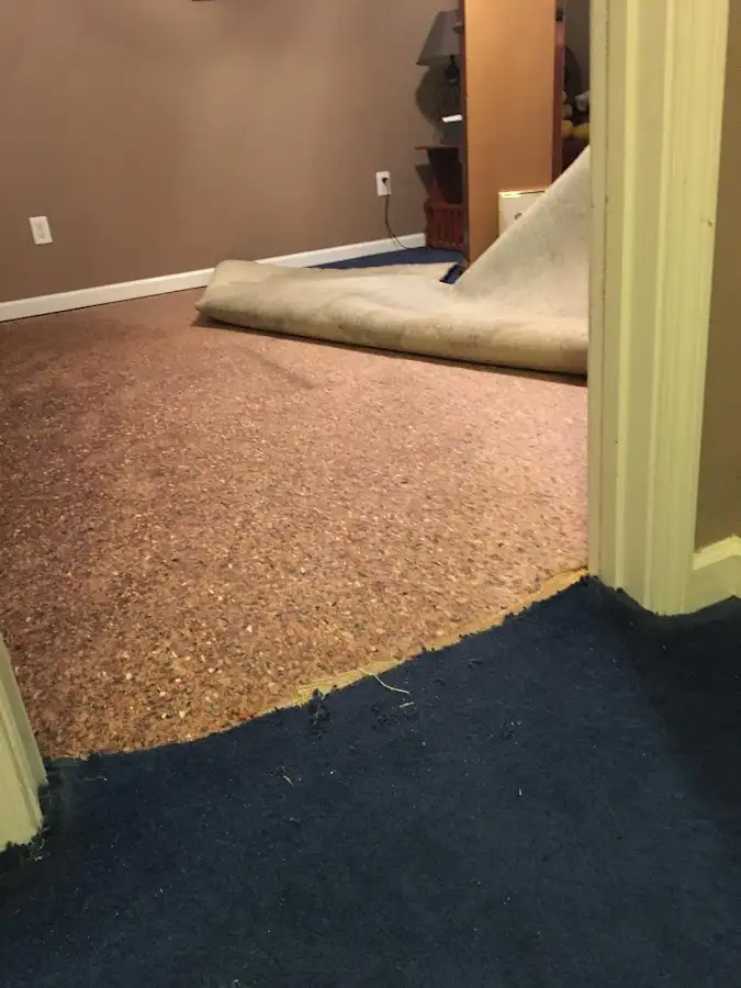 Carpet pad removal revealing water damage during Water Mitigation Services in Fruitport